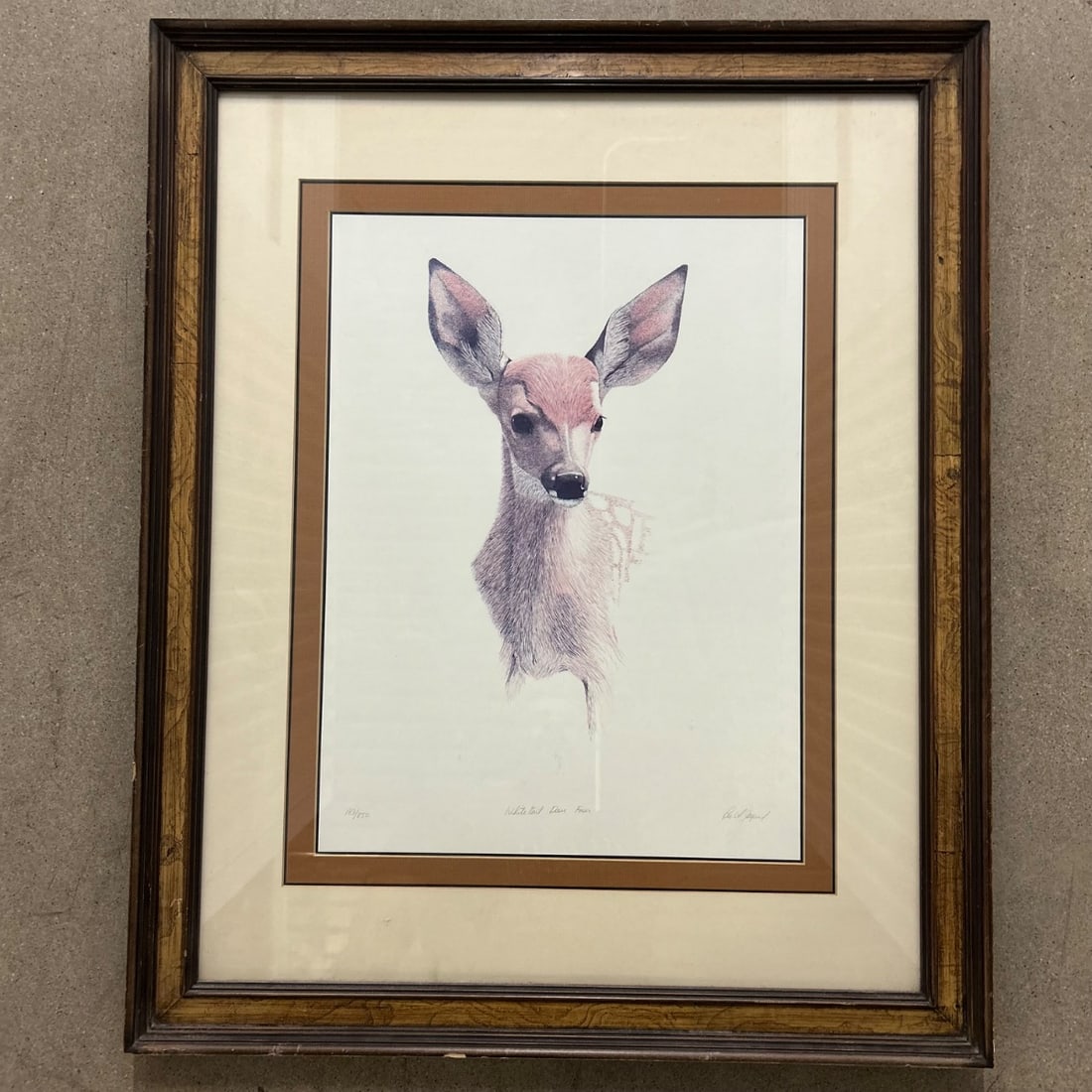 Lee A. Gayer Whitetail Deer Fawn Lithograph Print 183/850 Framed Woodland Art: Charming limited edition lithograph print titled 'Whitetail Deer Fawn' by artist Lee A. Gayer. This print showcases a beautifully rendered fawn with expressive eyes and delicate fur detail, presented
