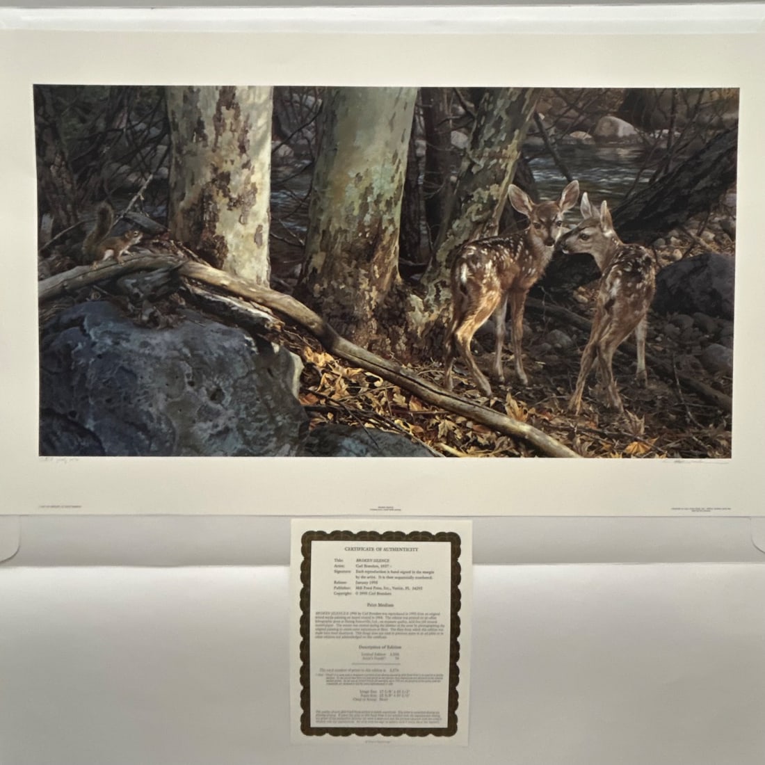 Carl Brenders "Broken Silence" Artist Proof Print 68/76 Signed Wildlife Deer Squirrel: This is a limited edition "Artist Proof" print titled "Broken Silence" by renowned wildlife artist Carl Brenders, number 68 of only 76 Artist Proofs. The print depicts a serene forest scene with two f