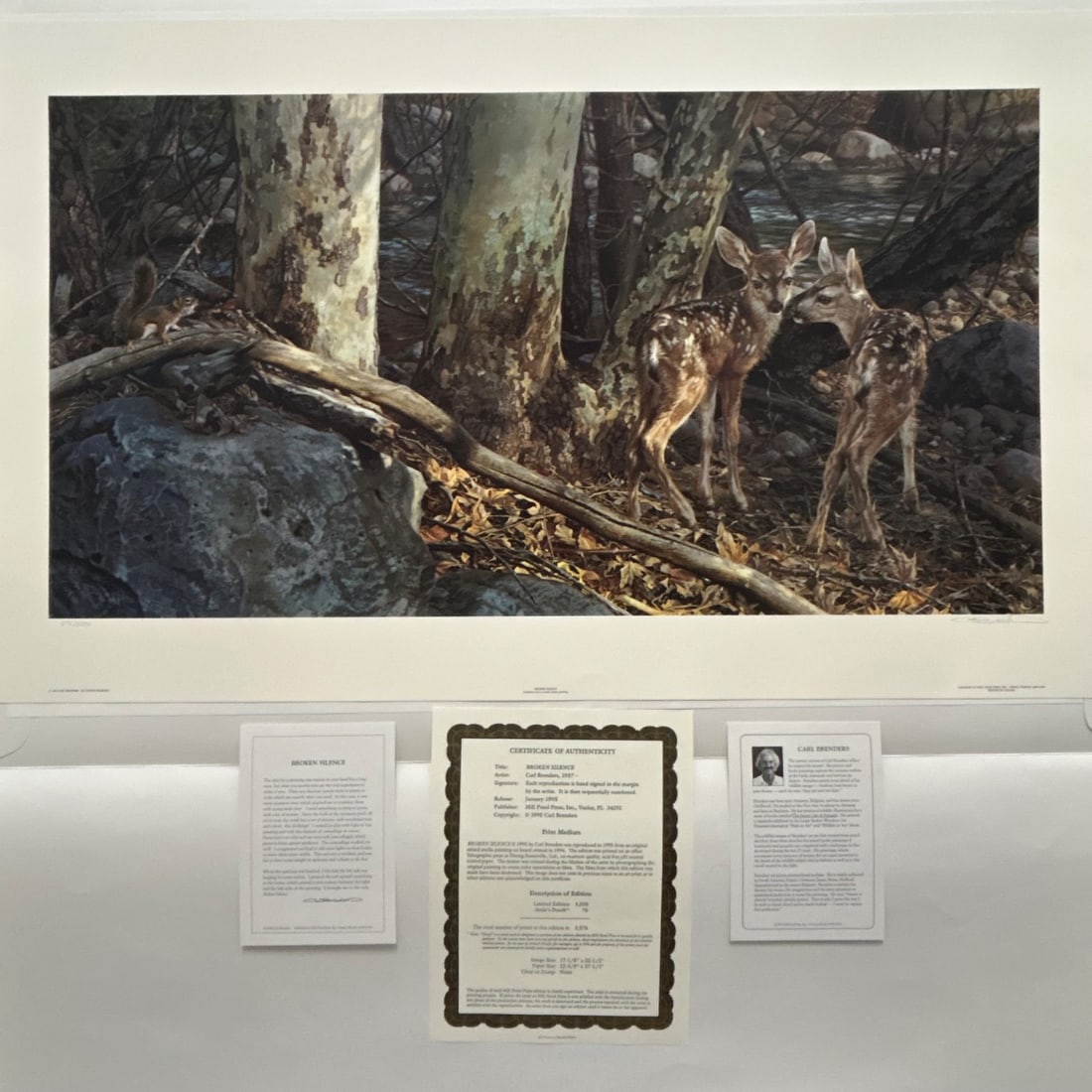 Carl Brenders "Broken Silence" Limited Edition Print 575/3500 Wildlife Art 1994: This is a limited edition lithographic print titled "Broken Silence" by renowned wildlife artist Carl Brenders. Created in 1994 and published by Mill Pond Press, Inc., this artwork depicts a serene fo
