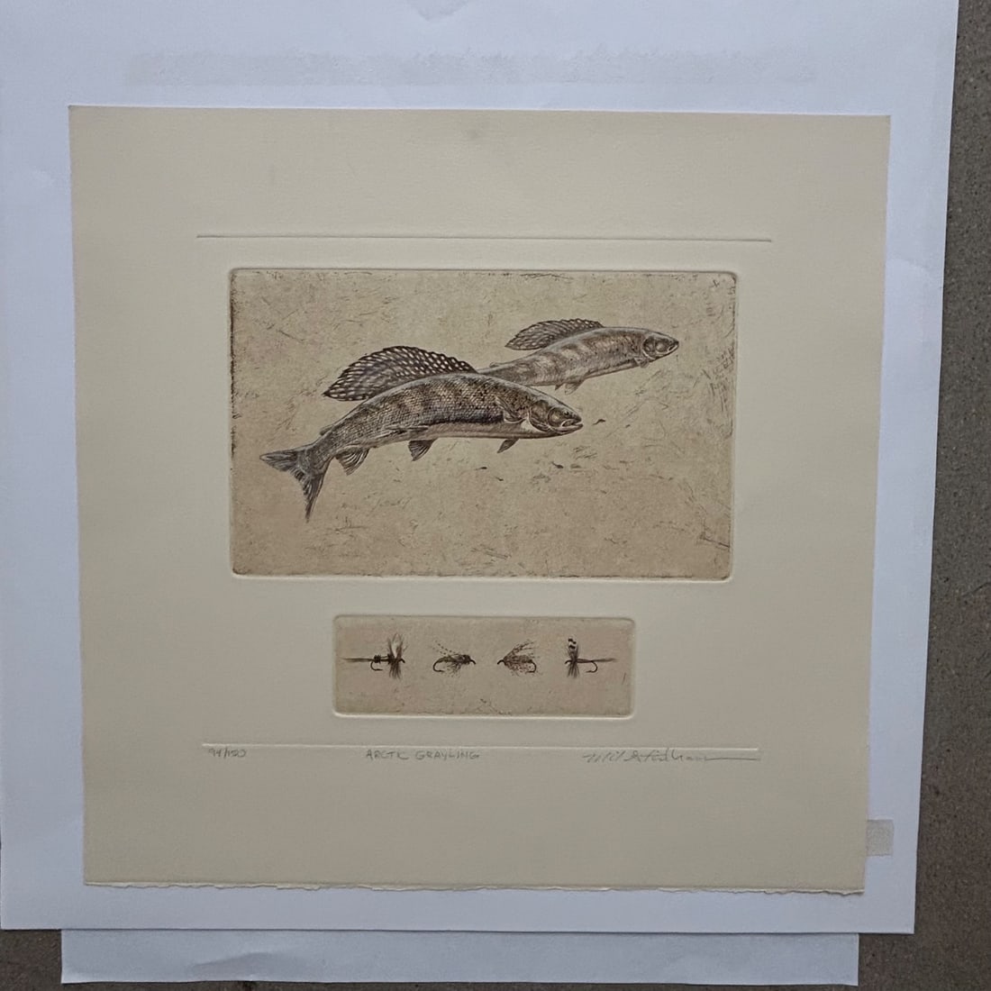 William "Bill" Stidham "Arctic Grayling" Limited Edition Etching Signed Artist Proof 94/150 Fish Art (1 of 8)