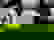 item-7746717=2