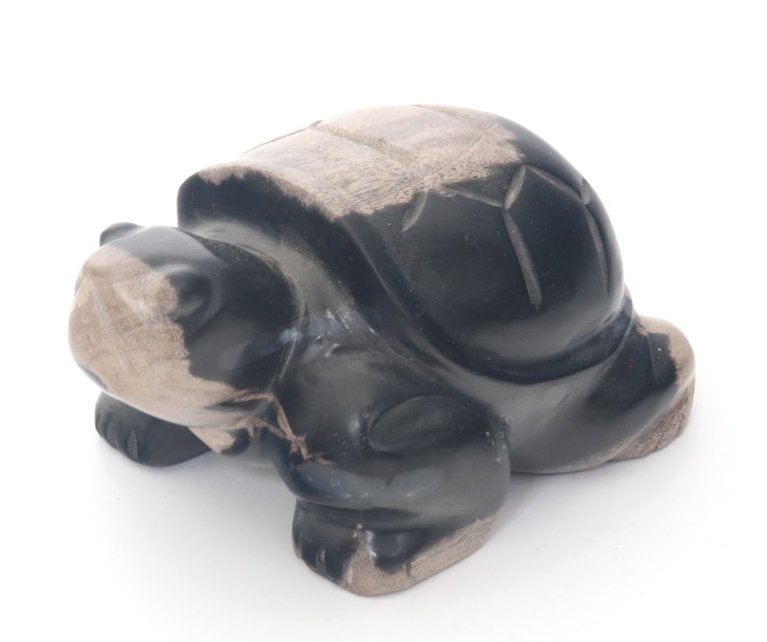 Adorable Petrified Wood Carved Turtle: Gorgeous dark brown and natural ash grey colored petrified wood carved in the shape of an adorable squat turtle. Incised shell details with bulbous round polished eyes and pointed nose. Gorgeous dark
