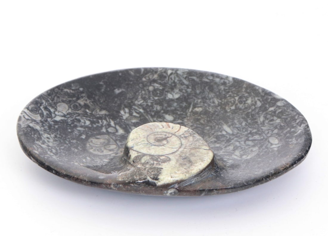 Ancient Fossilized Ammonite Jewelry Dish: Handsomely polished and shaped ammonite jewelry or coin dish with other natural fossils throughout. Natural earth tones throughout including grey, black and white with crystallizations throughout.