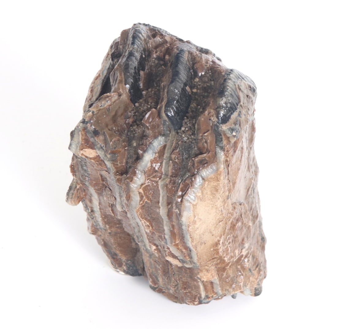 Handsome Ancient Wooly Mammoth Tooth Section - 2