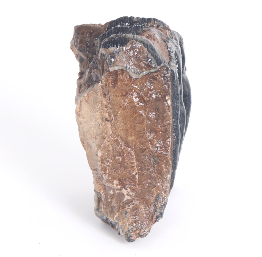 Handsome Ancient Wooly Mammoth Tooth Section - 3