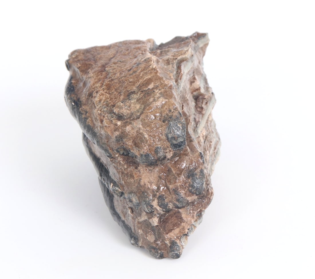 Handsome Ancient Wooly Mammoth Tooth Section - 7