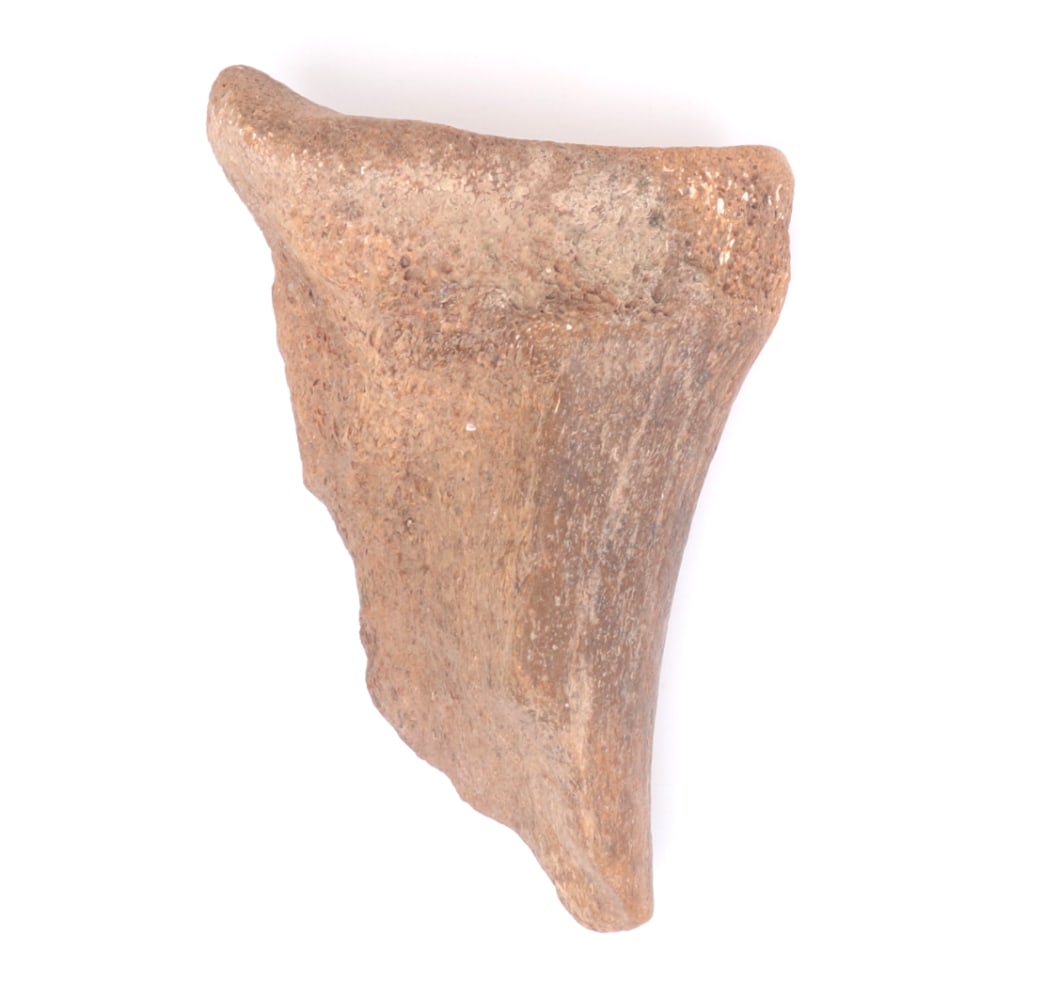 Fine Ancient Fossilized Dinosaur Bone (1 of 7)