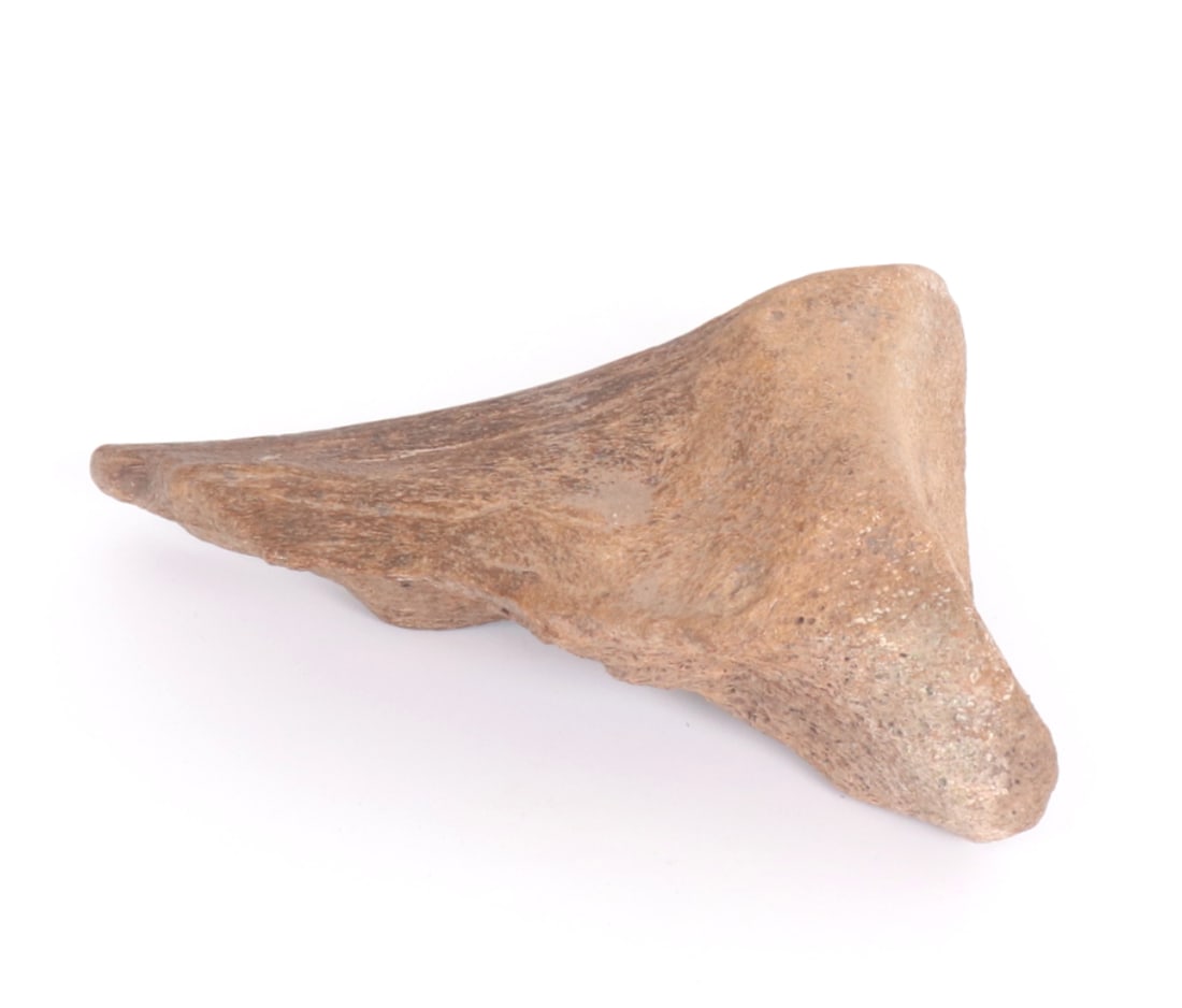 Fine Ancient Fossilized Dinosaur Bone - 3