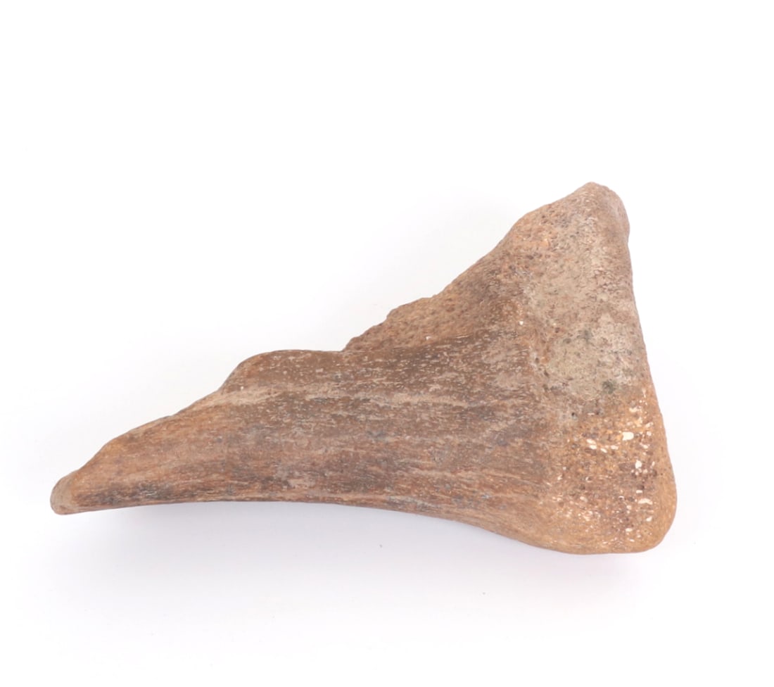Fine Ancient Fossilized Dinosaur Bone - 4