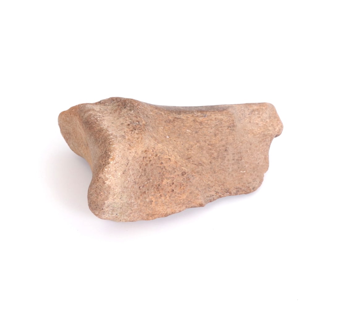 Fine Ancient Fossilized Dinosaur Bone - 5