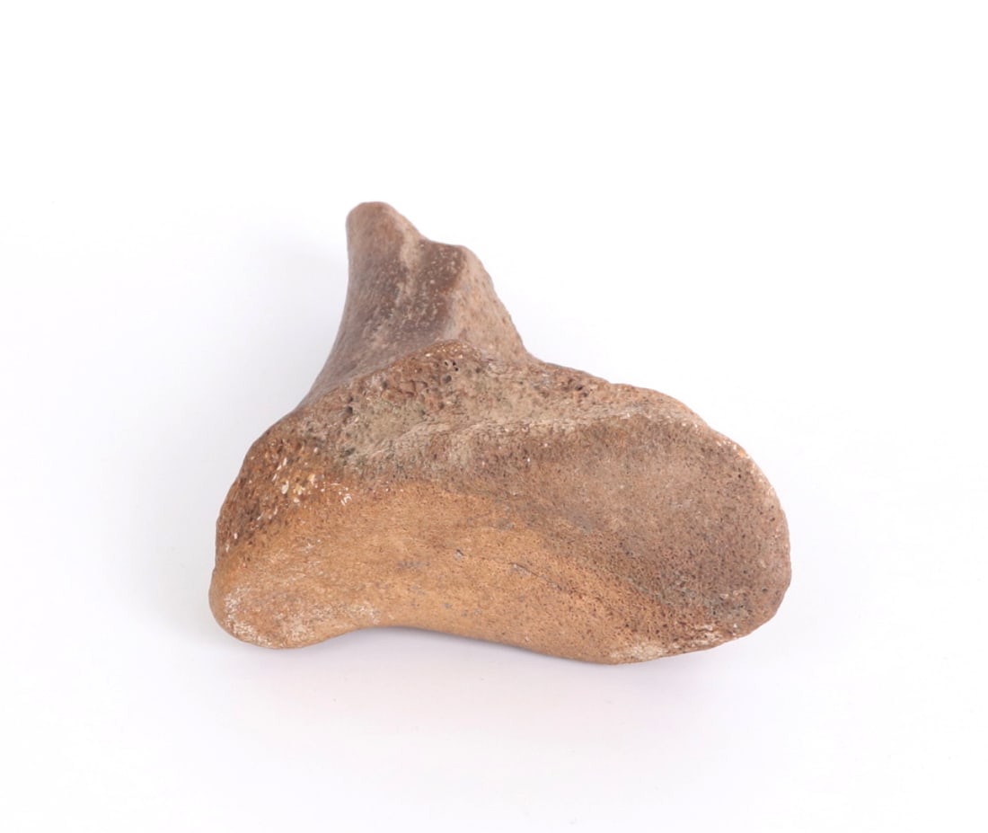 Fine Ancient Fossilized Dinosaur Bone - 6