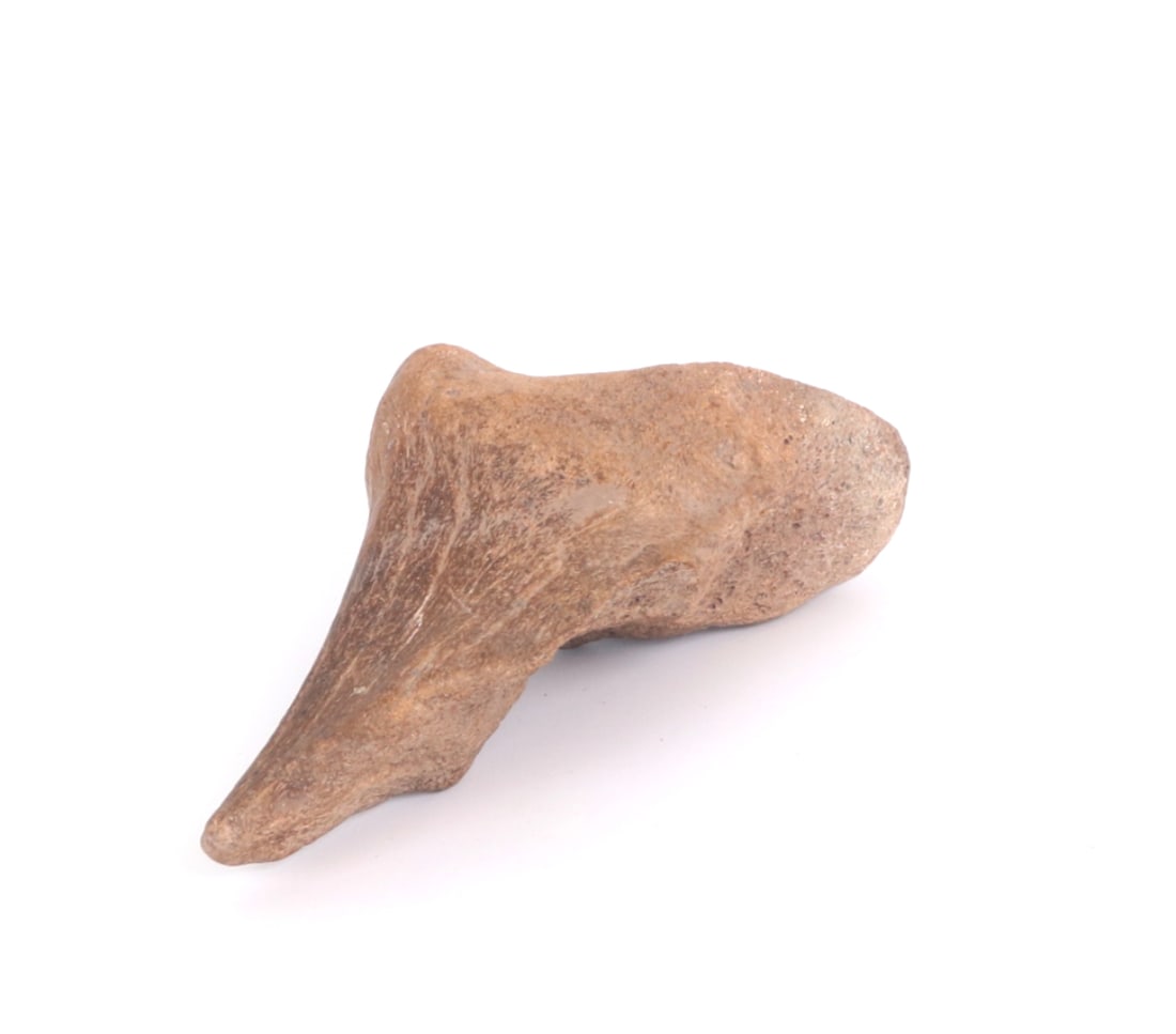 Fine Ancient Fossilized Dinosaur Bone - 7
