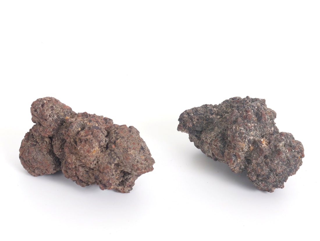 Two Ancient Fossilized Coprolite Pieces - 2