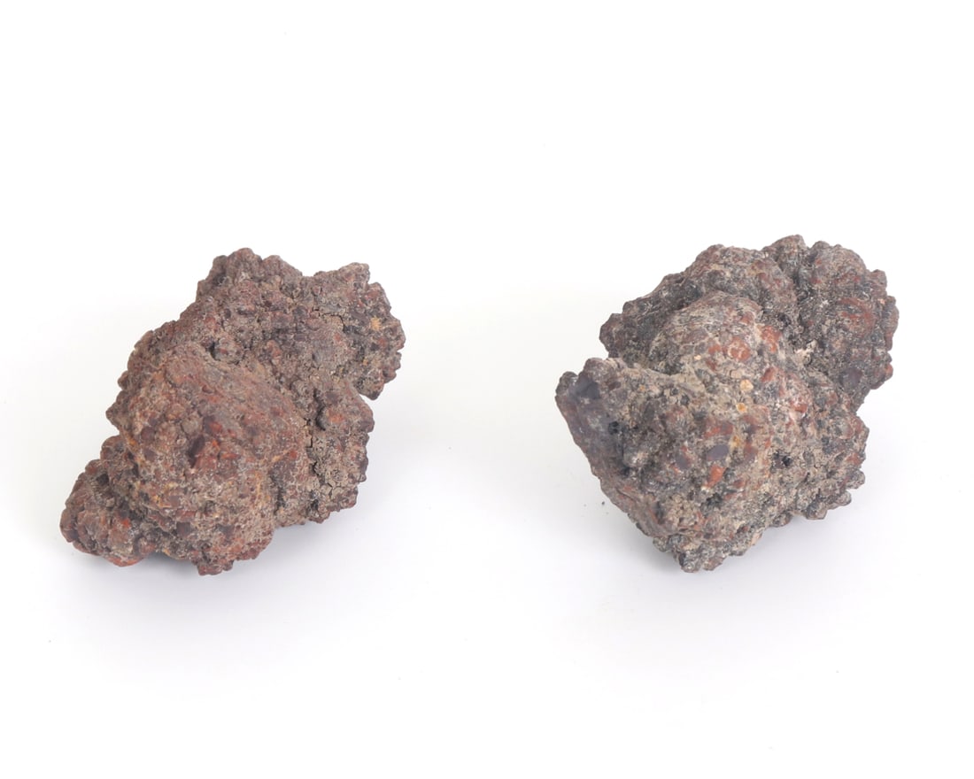 Two Ancient Fossilized Coprolite Pieces - 3
