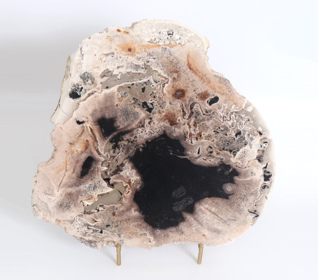 Petrified Wood Slab on Stand: Lovely all natural ancient petrified wood slab with gorgeous earth tones throughout including cream to dark brown with crystallization pockets throughout. When held to natural sunlight the piece has