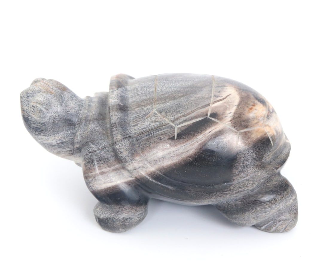 Petrified Wood Carved Turtle - 3