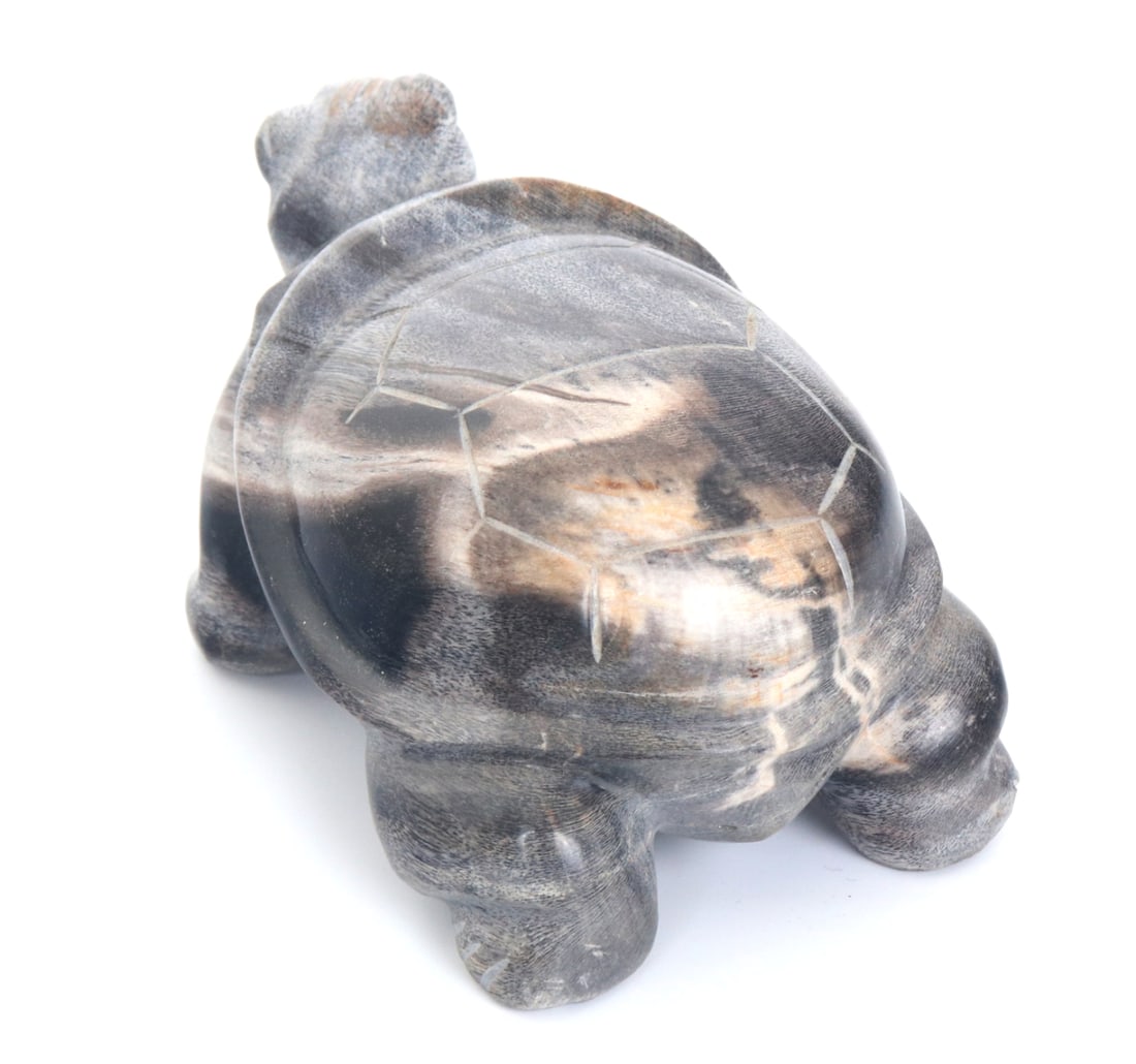 Petrified Wood Carved Turtle - 4
