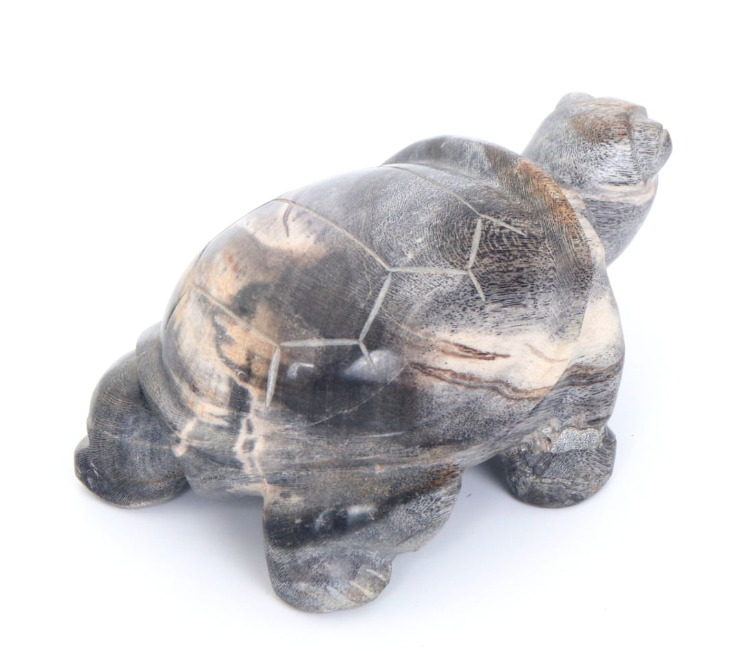 Petrified Wood Carved Turtle - 5