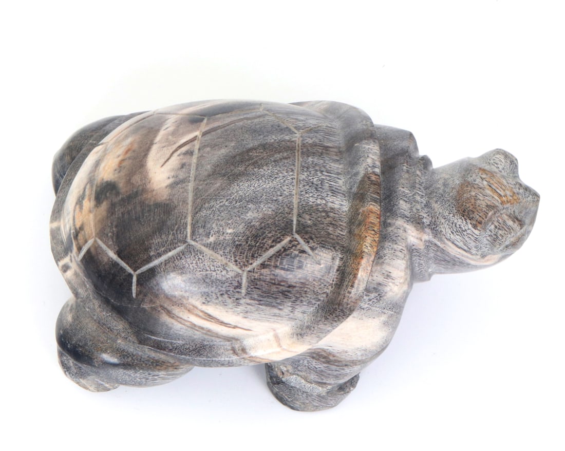 Petrified Wood Carved Turtle - 6