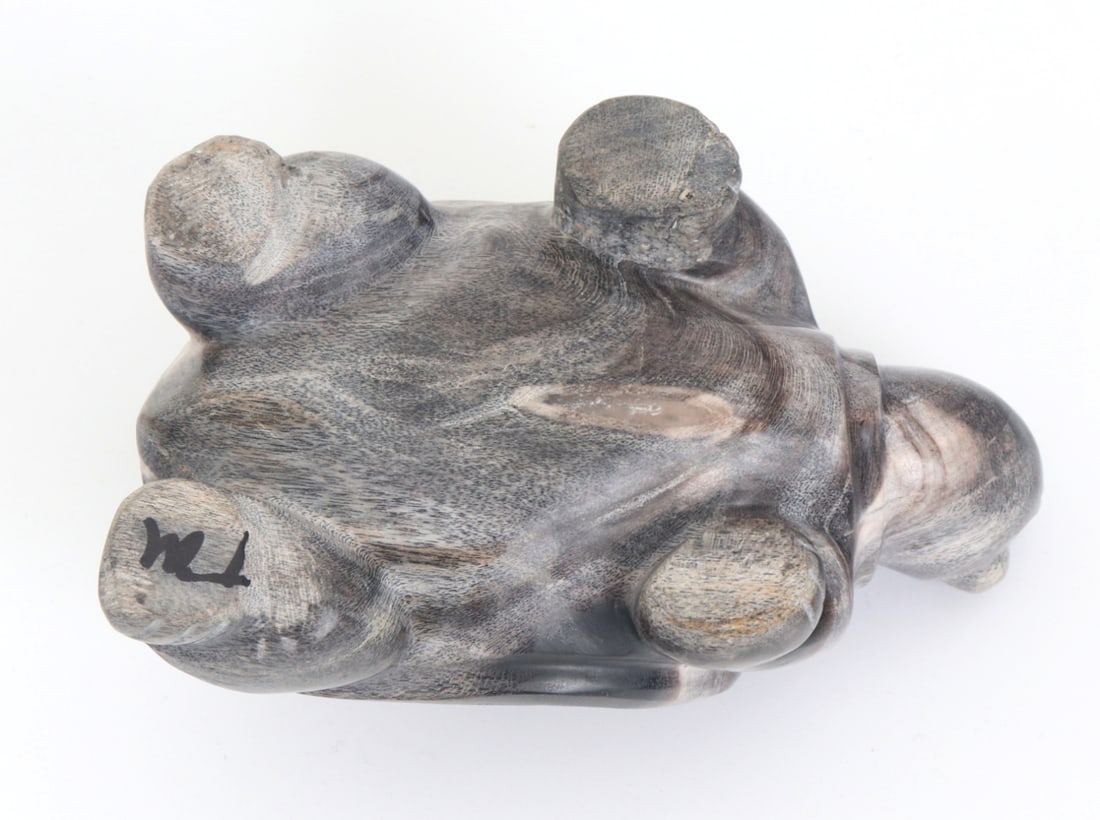 Petrified Wood Carved Turtle - 7