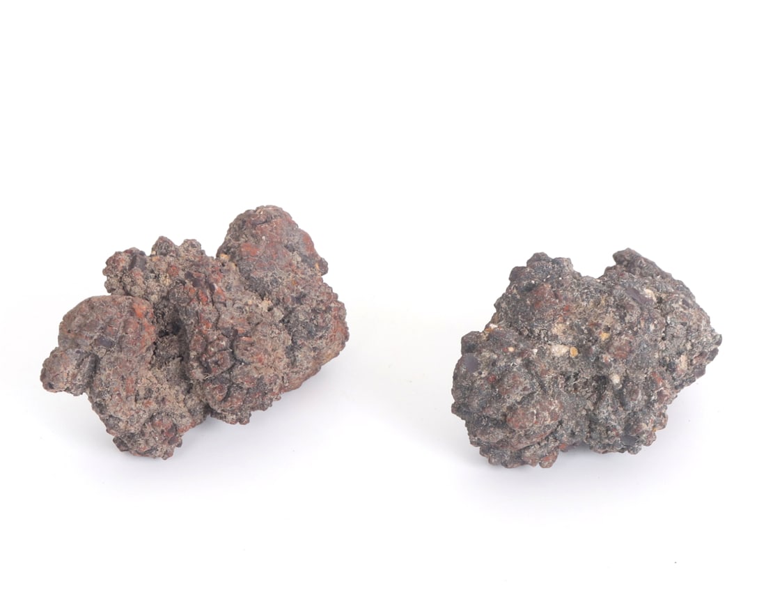 Two Ancient Fossilized Coprolite Pieces: Group lot of two pieces of fossilized dinosaur dung, millions of years old. Each section fossilized from spending millions of years in the earth getting hardened over time. Scientists can often tell
