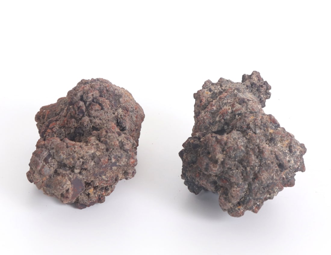 Two Ancient Fossilized Coprolite Pieces - 4