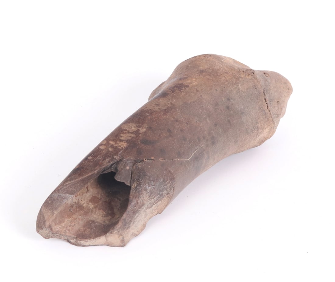 Nice Ancient Fossilized Tibia - 7