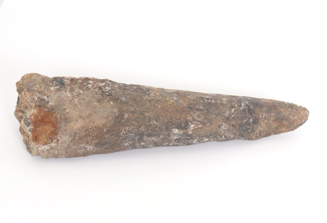 Large Fossilized Dinosaur Tooth: Finely fossilized ancient dinosaur tooth, possibly from a T-Rex based on size. Nice earthen deposits throughout with fine specs of sand crystals that glisten throughout. Size 7 1/2" L
