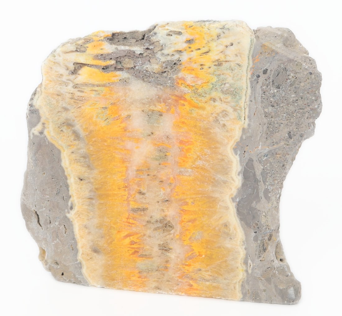 Bumblebee Jasper Mineral Slab Specimen - 2