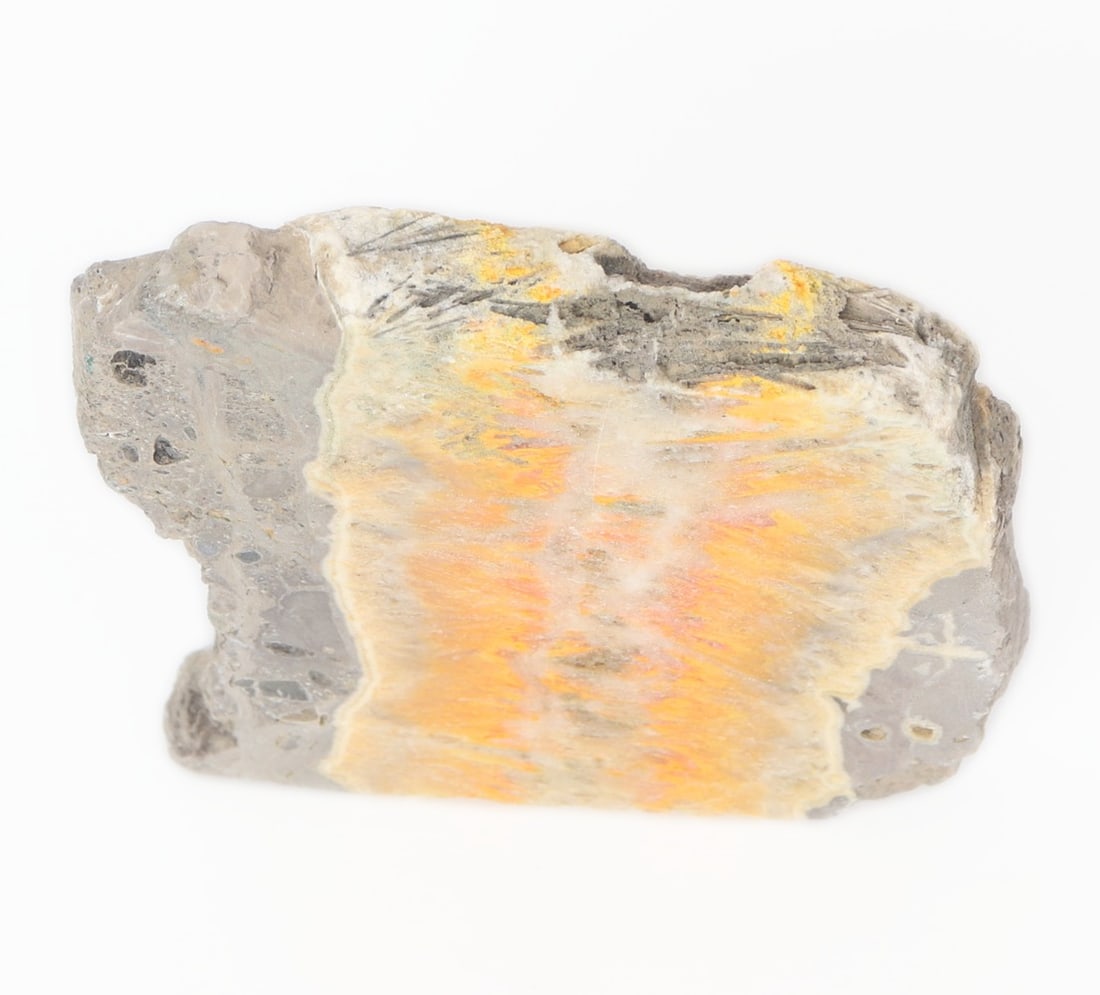 Bumblebee Jasper Mineral Slab Specimen - 3