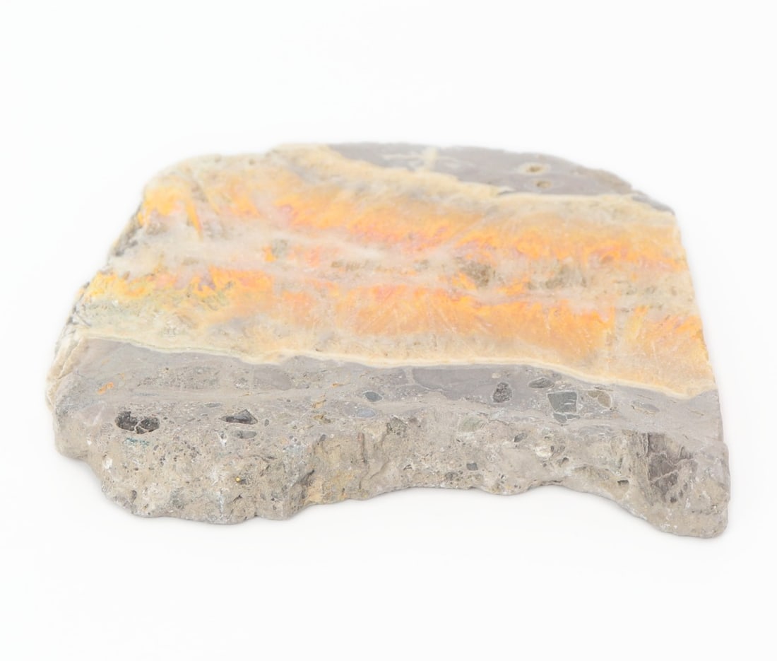Bumblebee Jasper Mineral Slab Specimen - 4