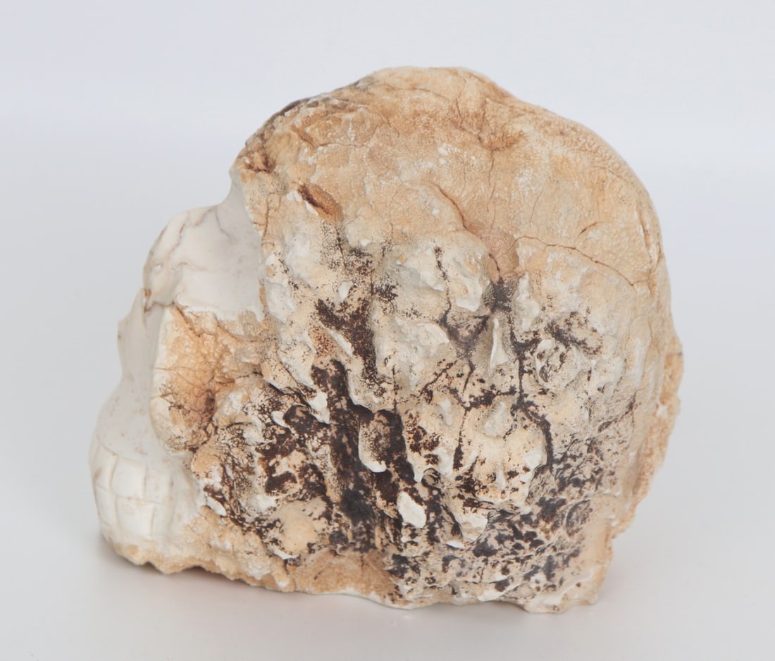 Cleverly Carved Raw Opal Skull - 3