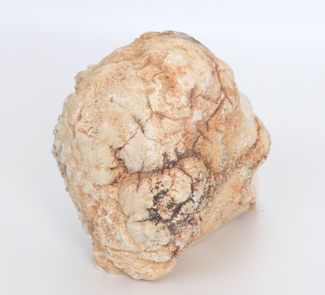 Cleverly Carved Raw Opal Skull - 4