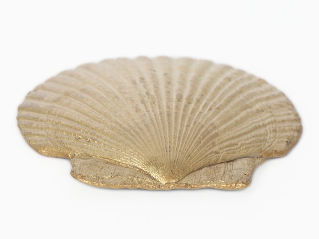 Lovely Painted Seashell, Dragonflies - 6