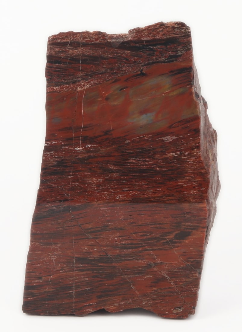 Stunning Bright Red Rainbow Petrified Wood Bookend (1 of 7)