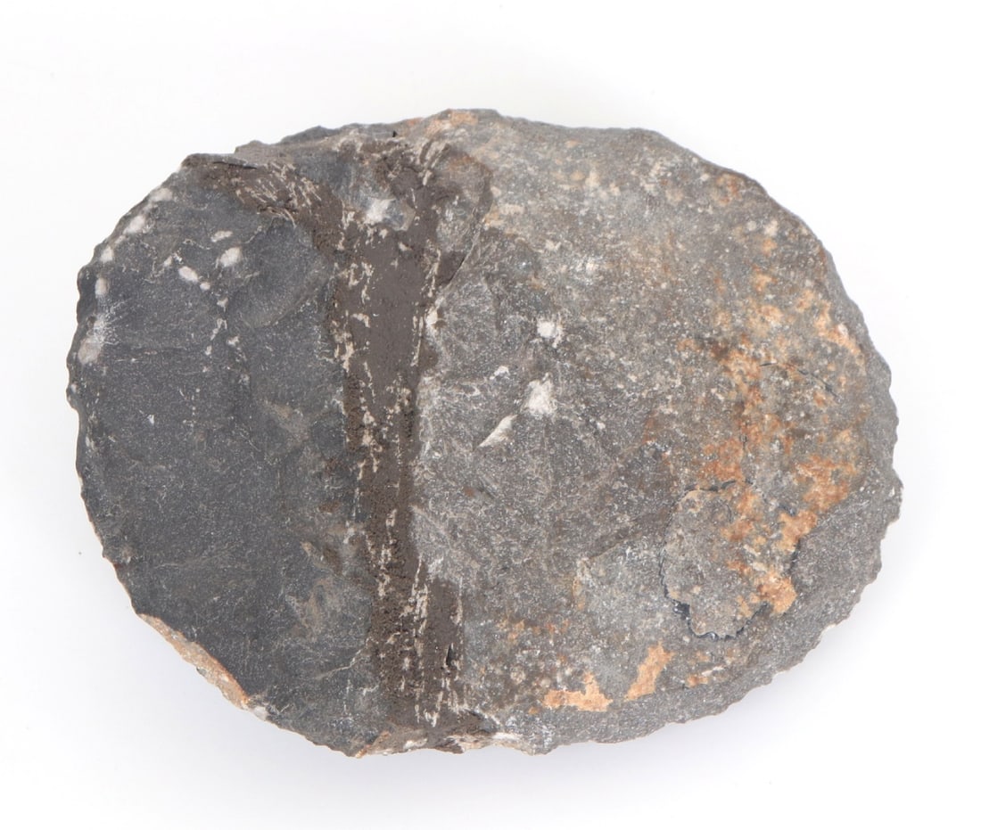 Fine Ancient Black Trilobite - 6
