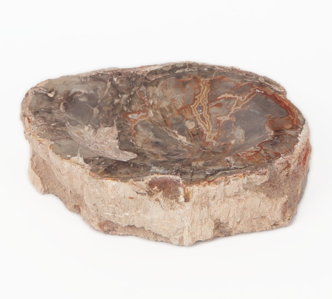 Ancient Petrified Wood Carved Oval Shaped Bowl: Gorgeous ancient petrified wood bowl with natural crystal veins in a light blue grey color that shimmer in natural light. Brown, grey and bright red natural earthen tones throughout. Beautifully