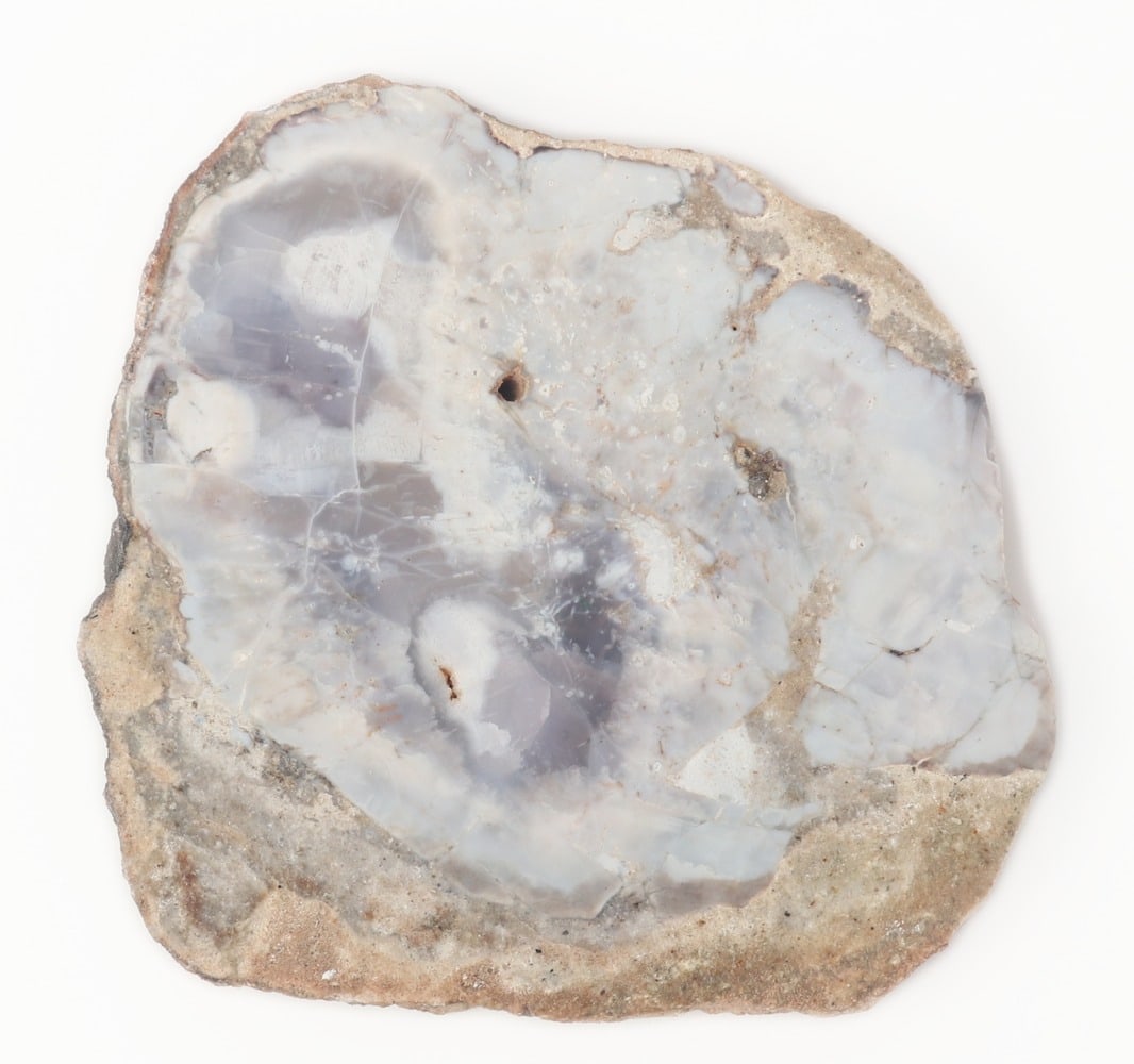 Gorgeous Aquamarine Colored Petrified Wood Slab: Unique light blue aquamarine colored ancient petrified wood slab section, likely from a branch given the size. Incredible crystal veining inclusions throughout the entire piece, polished smooth to