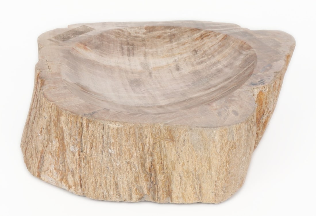 Beautiful Petrified Wood Carved Bowl, 1132 grams: Lovely light cream and orange brown section of ancient petrified would bowl carved from a thick branch section. Hollowed slightly in the center and polished smooth. Great for holding keys, coins, or