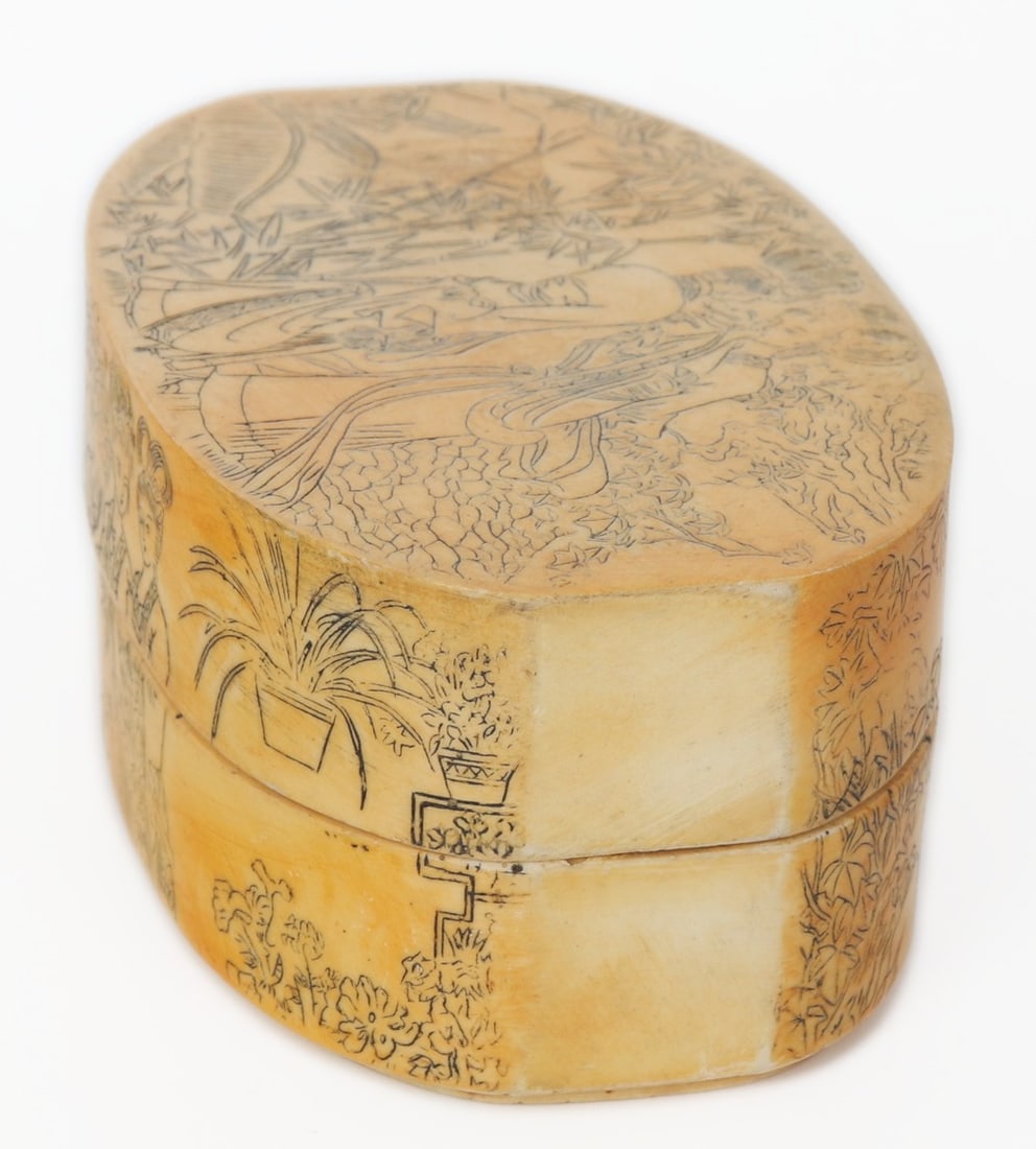 Beautiful Scrimshaw Style Box - 3