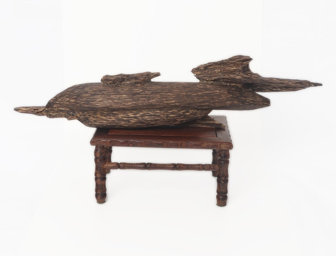 Fine Freeform Section of Agarwood on Stand: Lovely striped long freeform section of agarwood with dark brown contrast. Unique form gives an animalistic look with a bird beak point to one end and legs around the body of the section of wood in