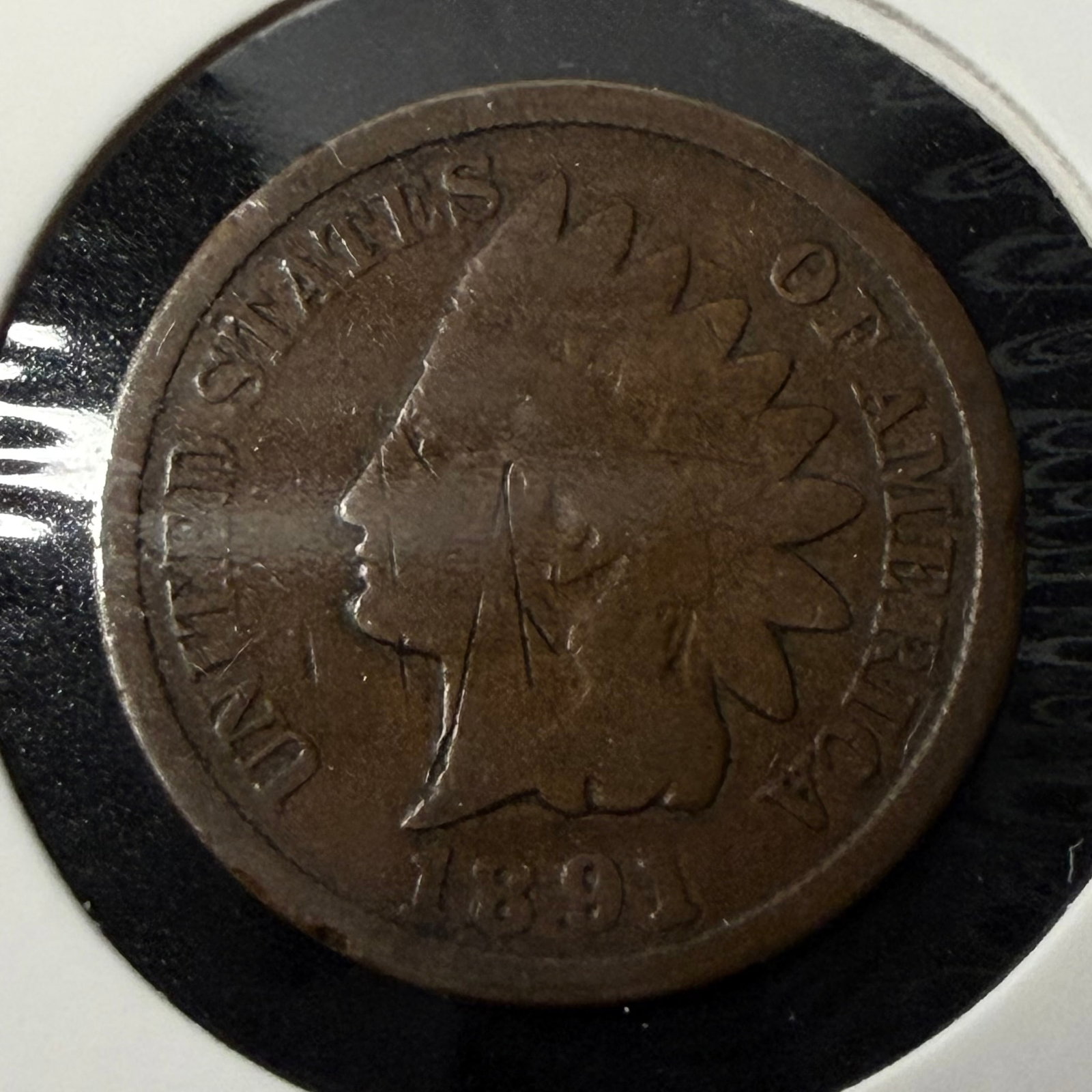 Indian Head Penny - 1891: Indian Head Penny - 1891
