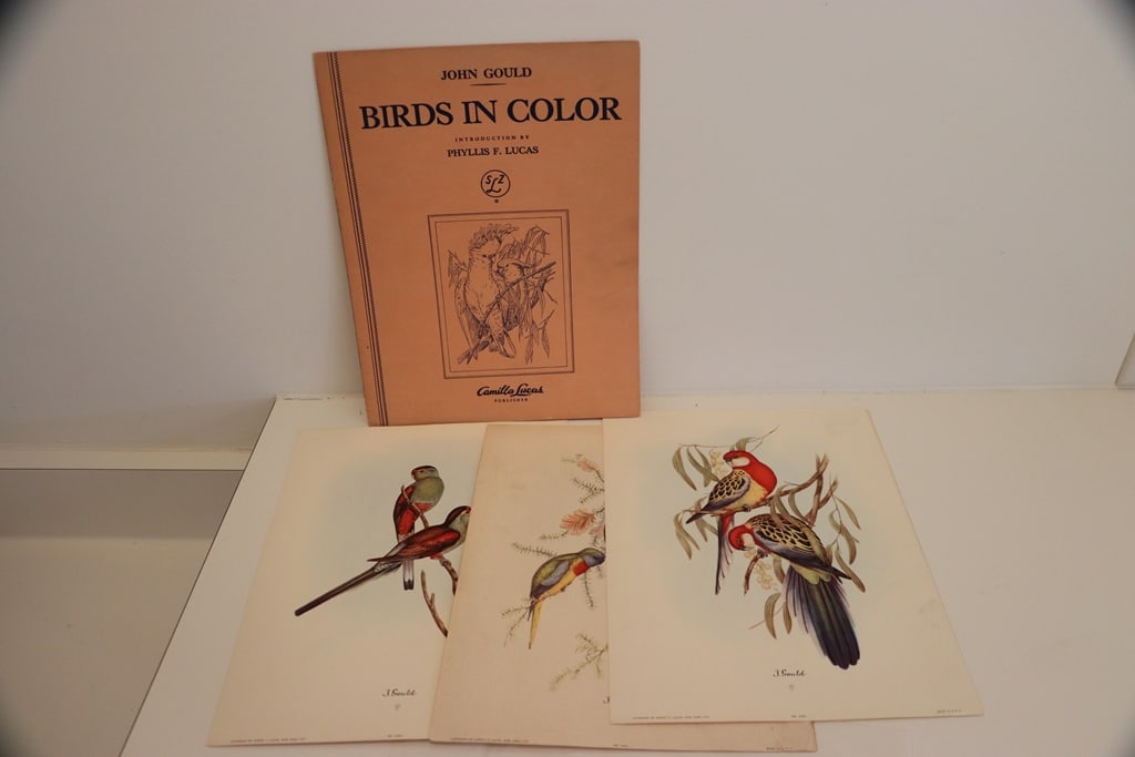 JOHN GOULD PRINTS: A GROUP OF JOHN GOULD BIRDS IN COLOR PRINTS. 9X12. VERY GOOD CONDITION. 
