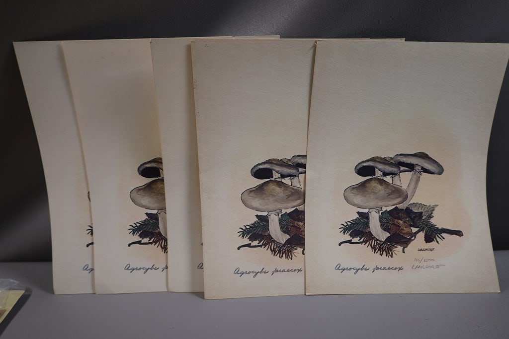 SIGNED LANGHORST PRINTS: A GROUP OF 5 PRINTS OF SPRING FIELDCAP MUSHROOMS SIGNED AND NUMBERED. THE ARTIST IS LANGHORST. 8X10. SOME HAVE BROWN TONING. 
