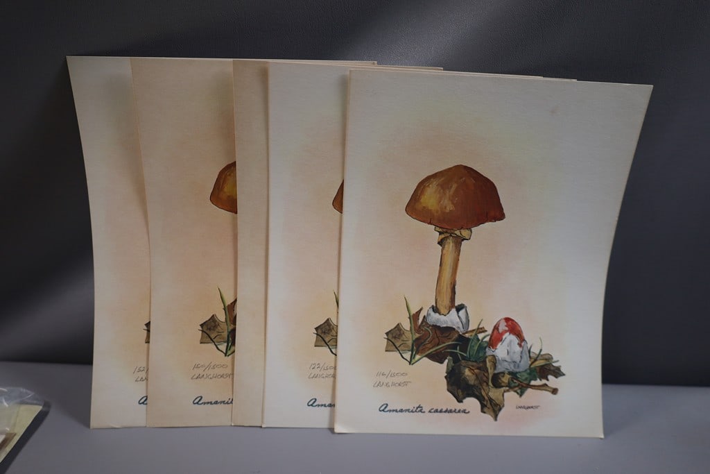 SIGNED LANGHORST PRINTS: A GROUP OF 5 PRINTS OF CEASR'S MUSHROOM SIGNED AND NUMBERED. THE ARTIST IS LANGHORST. 8X10. SOME HAVE BROWN TONING. 