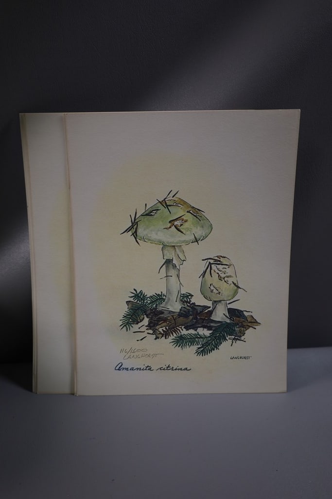 LANGHORST PRINTS: A GROUP OF 5 PRINTS OF FALSE DEATH CAP MUSHROOMS SIGNED AND NUMBERED. GOOD CONDITION. 8X10 