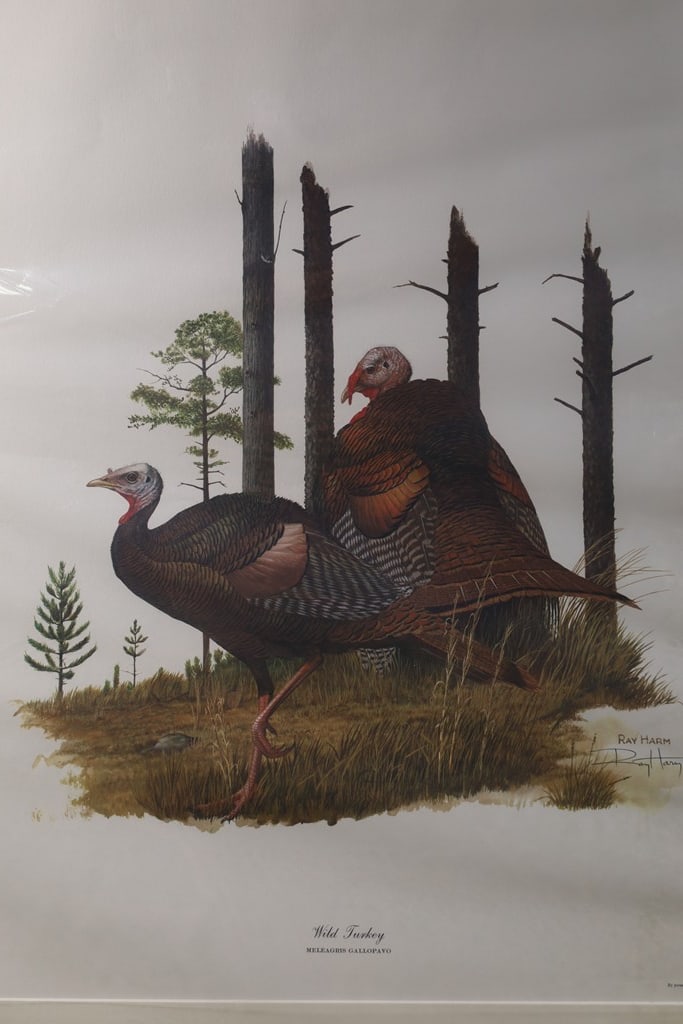 RAY HARM SIGNED PRINT (1 of 1)