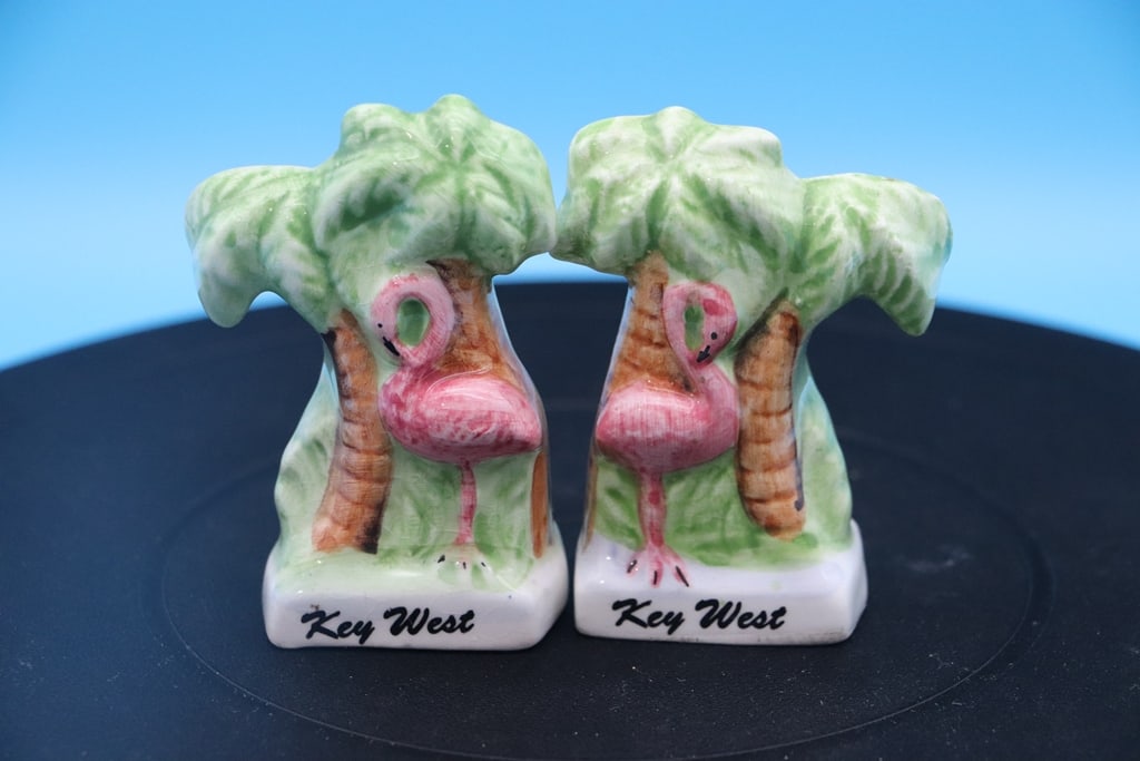 VINTAGE SALT AND PEPPER: A VINTAGE KEY WEST FLORIDA SALT AND PEPPER SET. VERY GOOD CONDITION.
