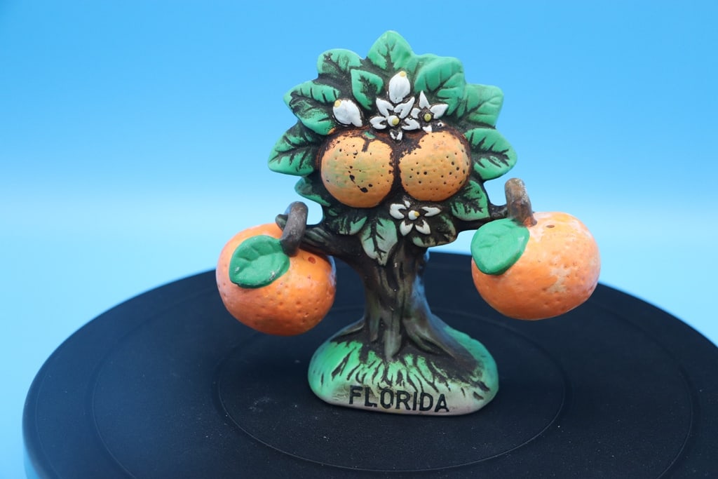 VINTAGE SALT AND PEPPER: A VINTAGE FLORIDA ORANGE TREE SALT AND PEPPER SET. VERY GOOD CONDITION.