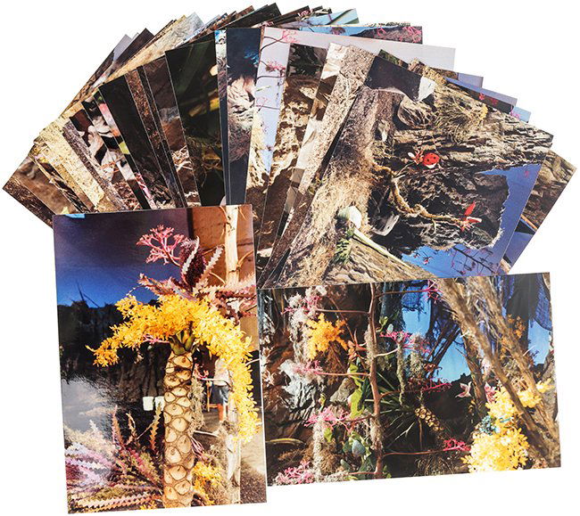 Star Trek: TOS Alien Landscape Photograph Collection (1 of 1)